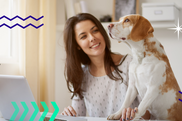Vantagens e desvantagens do home-office.